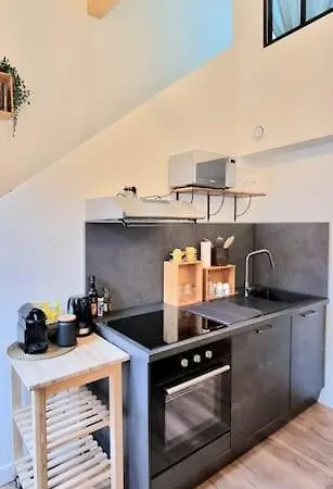 Le Duplex Catherine - Metro - Gare - Wifi Apartment Toulouse