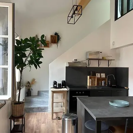 Le Duplex Catherine - Metro - Gare - Wifi Apartment Toulouse
